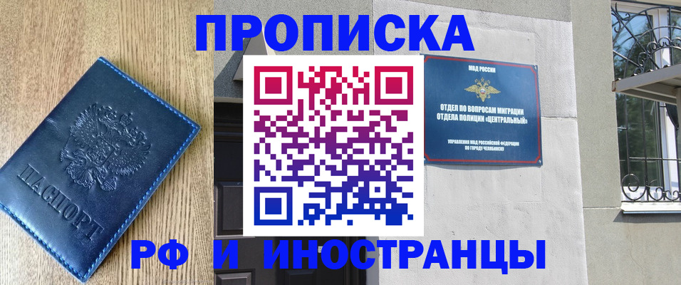 прописка 2025 в Зеленогорске